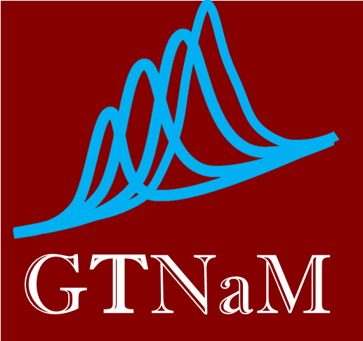 GTNaM's logo